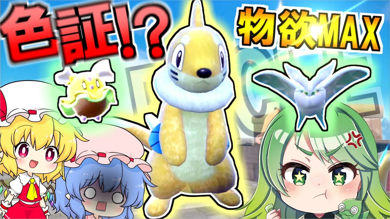 手当たり次第に色違い捕獲！色証持ちブイゼルゲット！【ポケモンSV】【ゆっくり実況】