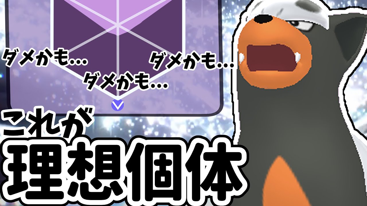 【ヘルガーより強い!?】相手のパーティーを破壊する『ほうふく型デルビル』がめちゃくちゃ強かった【ポケモンSV】【ゆっくり実況】