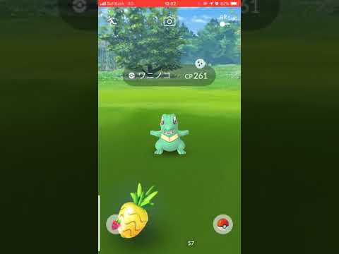 ポケモンGO コミュディ ワニノコ