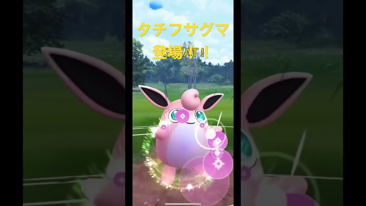 タチフサグマ登場！！【Obstagoon】