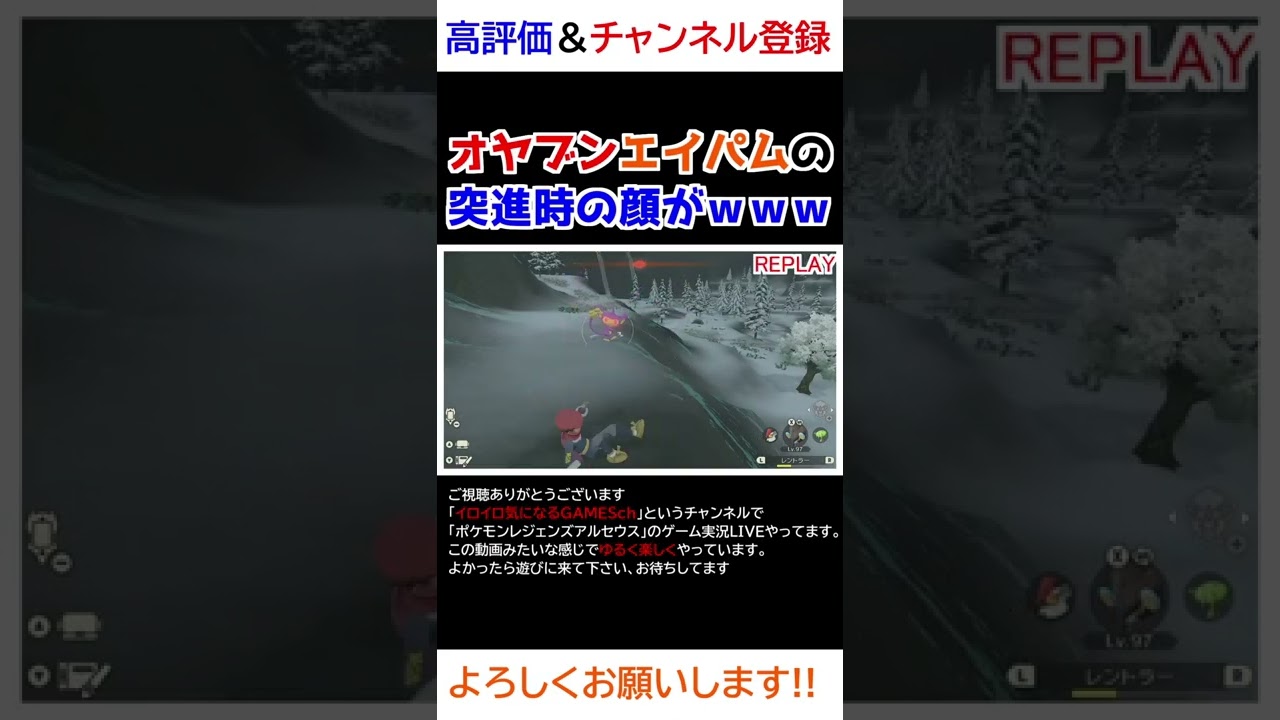 オヤブンエイパムさんが突進するときの顔がｗｗｗ【Pokémon LEGENDS アルセウス】