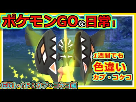 【ポケモンGOな日常】伝説レイド・カプ・コケコ　色違い編　【ポケモンGO】
