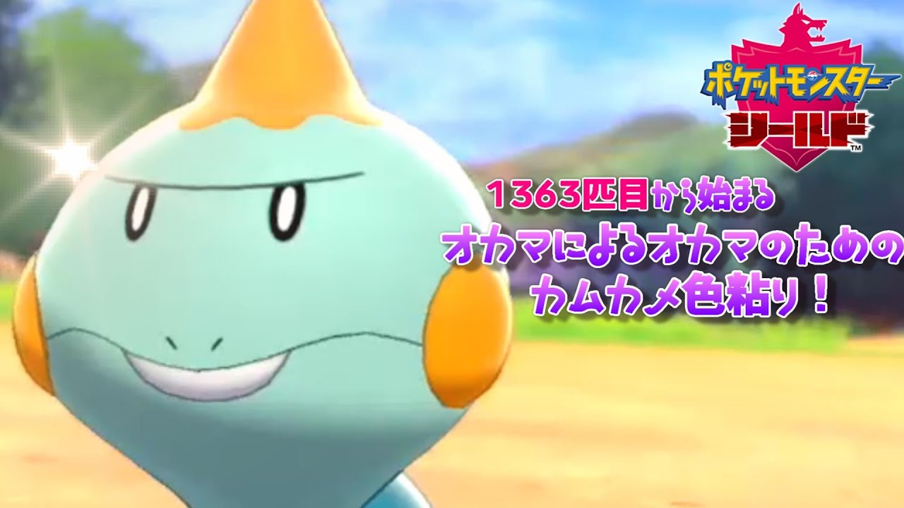 色運の無いオカマが2番道路でカムカメの色粘り！#9