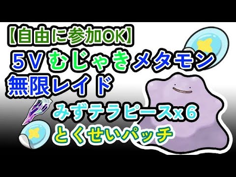 【参加可能】とくせいパッチ確定　むじゃき5Vメタモン　無限自動レイド兼レイド交換募集枠【ポケモンsv】