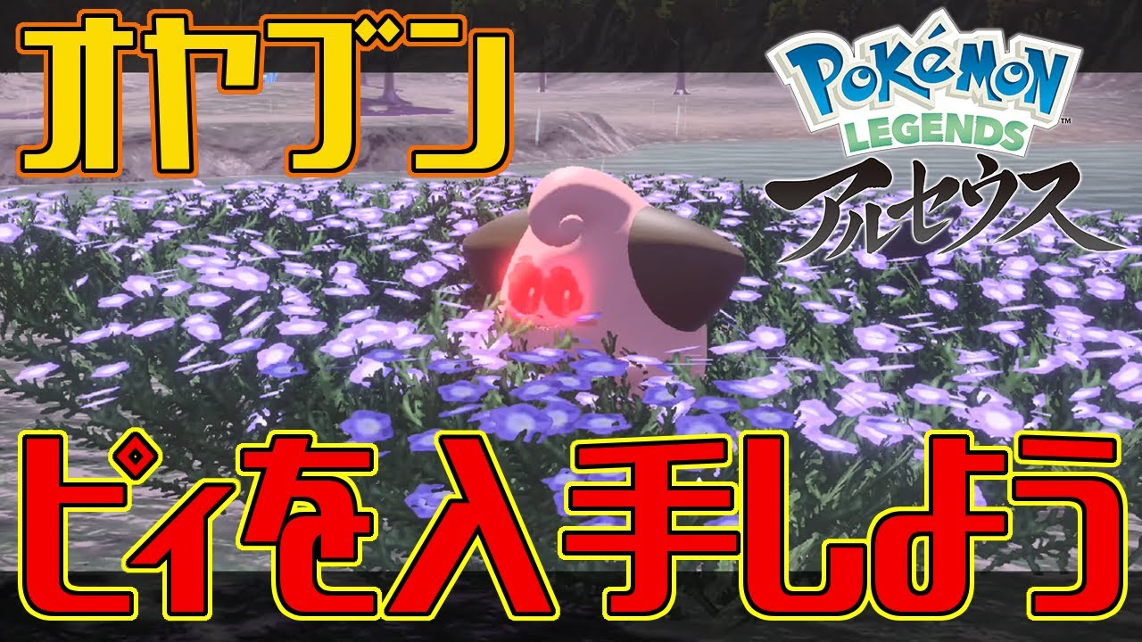 【ポケモンアルセウス】オヤブンのピィを入手しよう【Pokémon LEGENDS アルセウス】