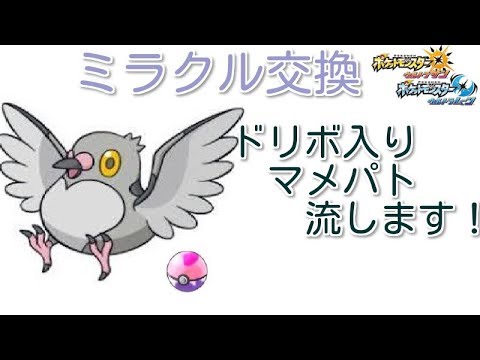 【ポケモンUSUM】ミラクル交換！ドリボ入りマメパト流します！