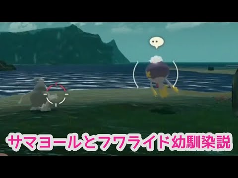 サマヨールとフワライド幼馴染説【POKEMON LEGENDS アルセウス】配信切り抜き