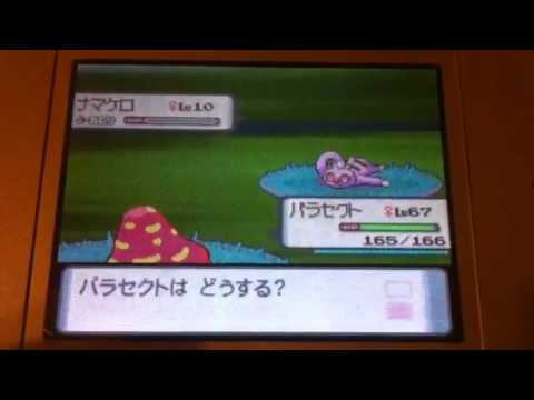 ナマケロ色違い出現