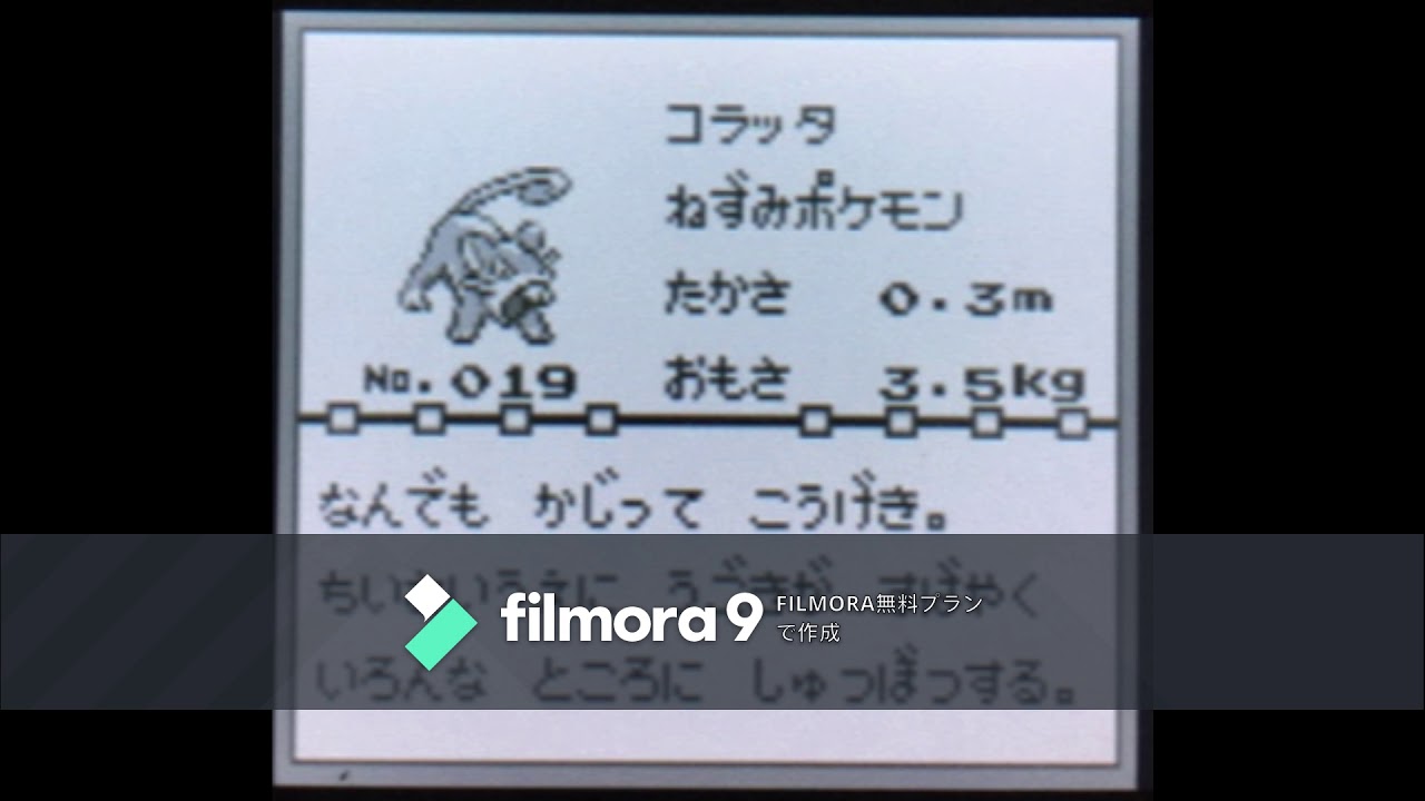 【図鑑NO019】コラッタ　鳴き声