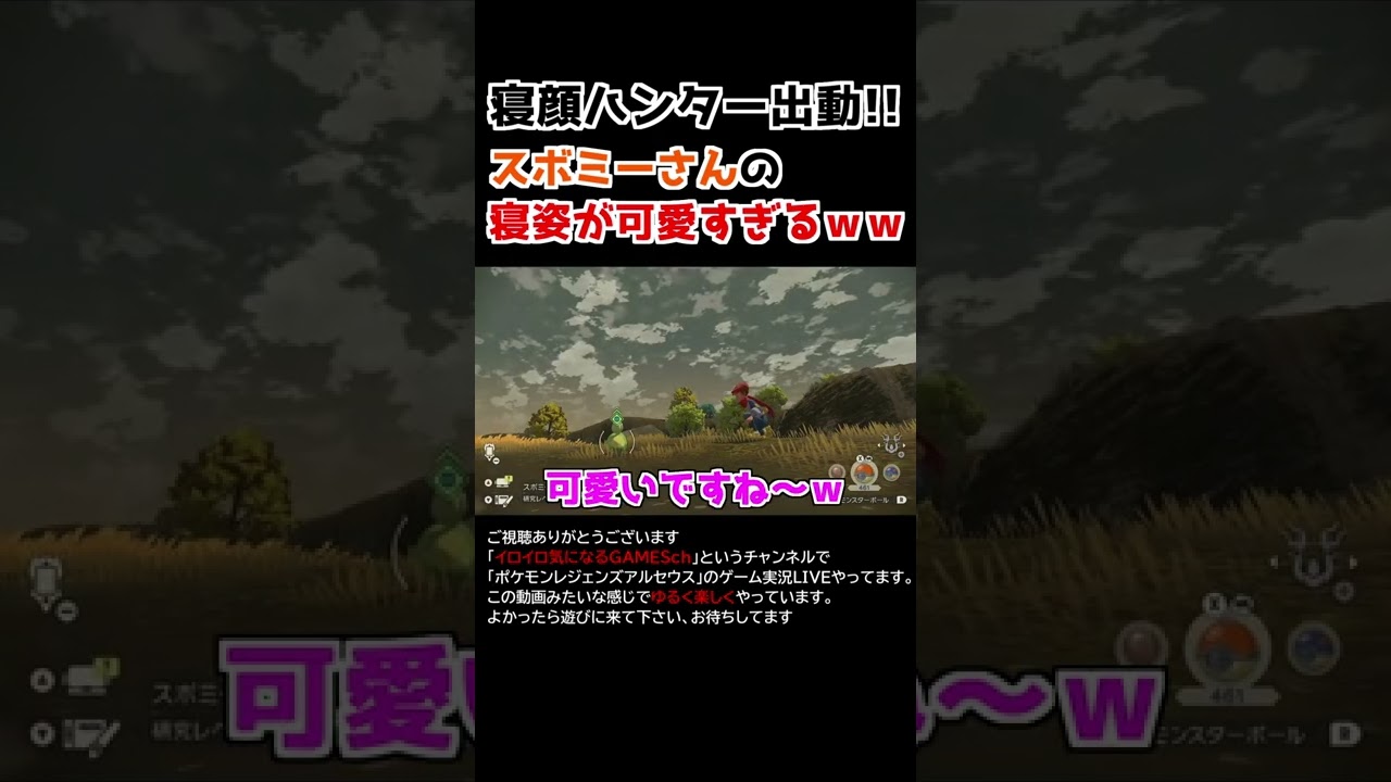 スボミーさんの「寝姿」が可愛すぎるww【Pokémon LEGENDS アルセウス】【寝顔ハンター】