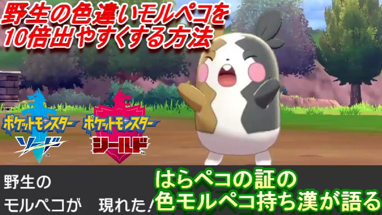 【ポケモン剣盾】野生の色違いモルペコを10倍出やすくする方法。色違いモルペコのはらペコの証持ちを保有している俺が語るｗ