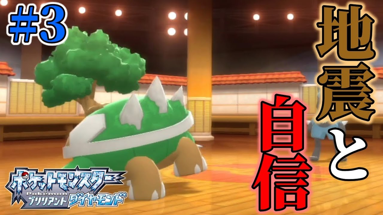 ニキビだらけのハヤシガメが・・・【ポケモンBDSP/ダイパリメイク】