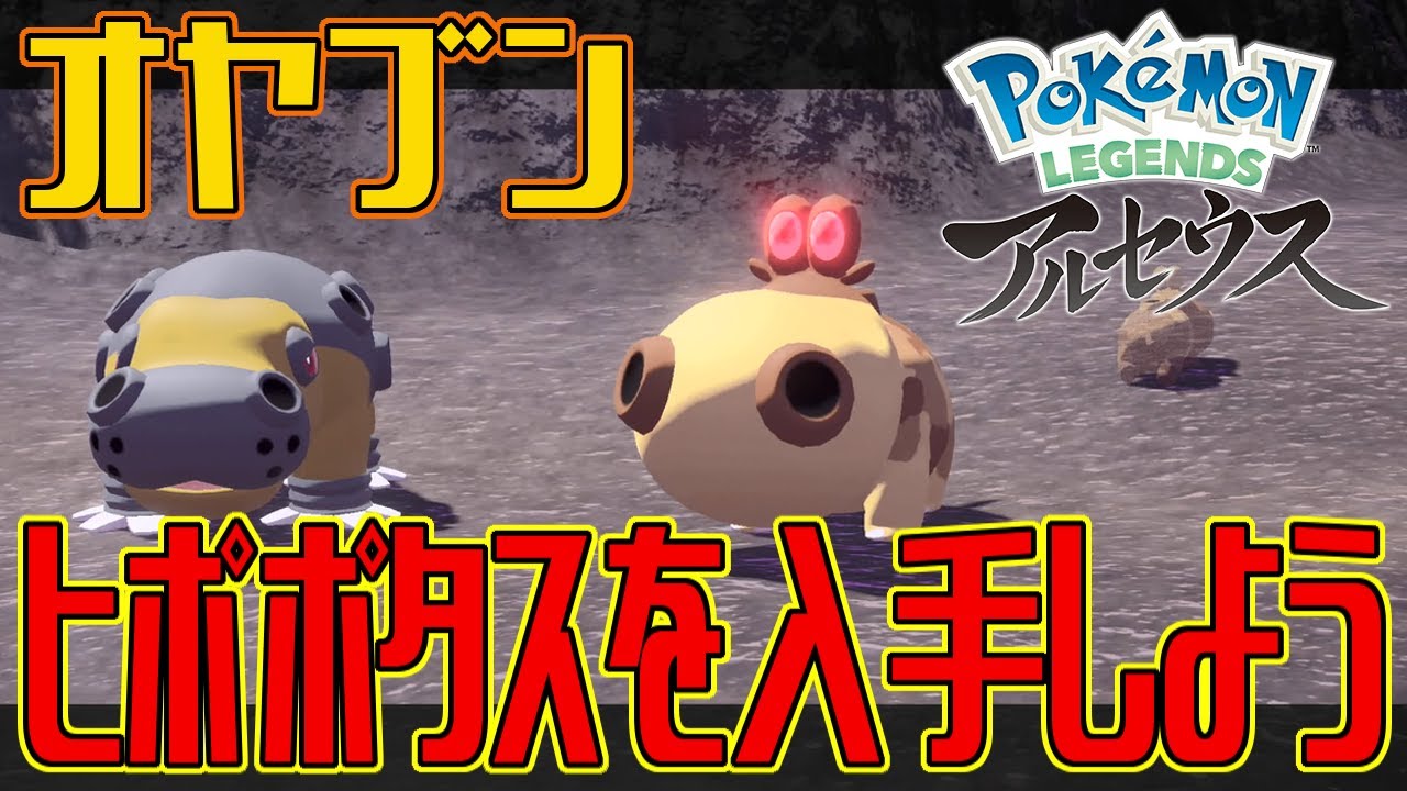 【ポケモンアルセウス】オヤブンのヒポポタスを入手しよう【Pokémon LEGENDS アルセウス】