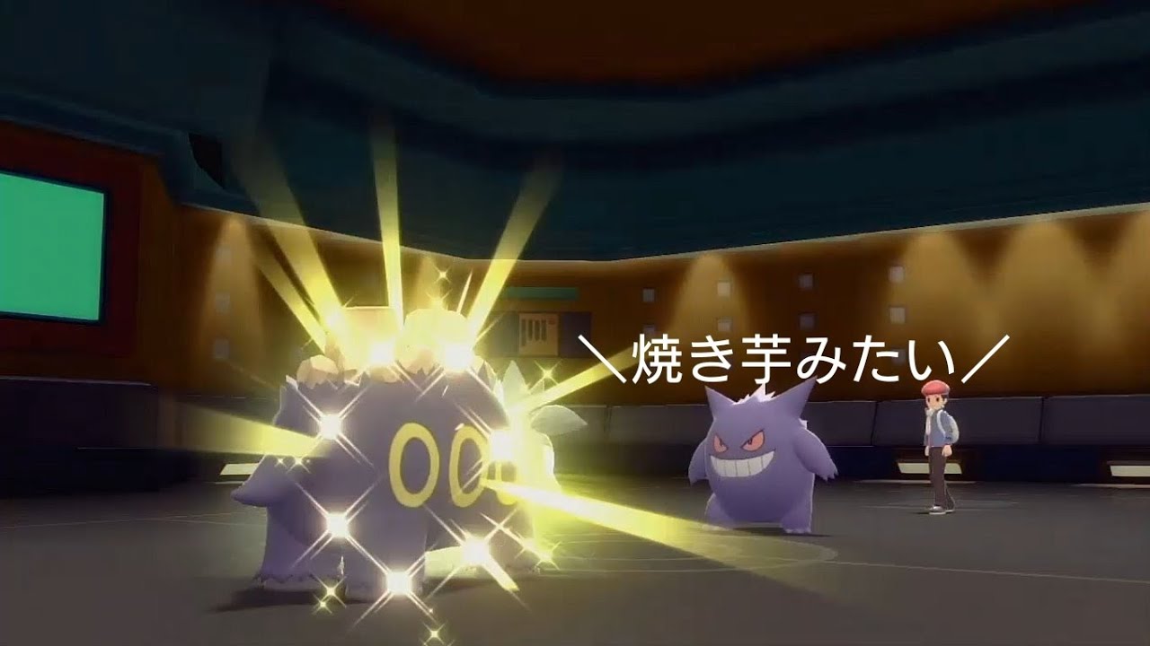 バクーダの色違い。個人的に好き【BDSP】
