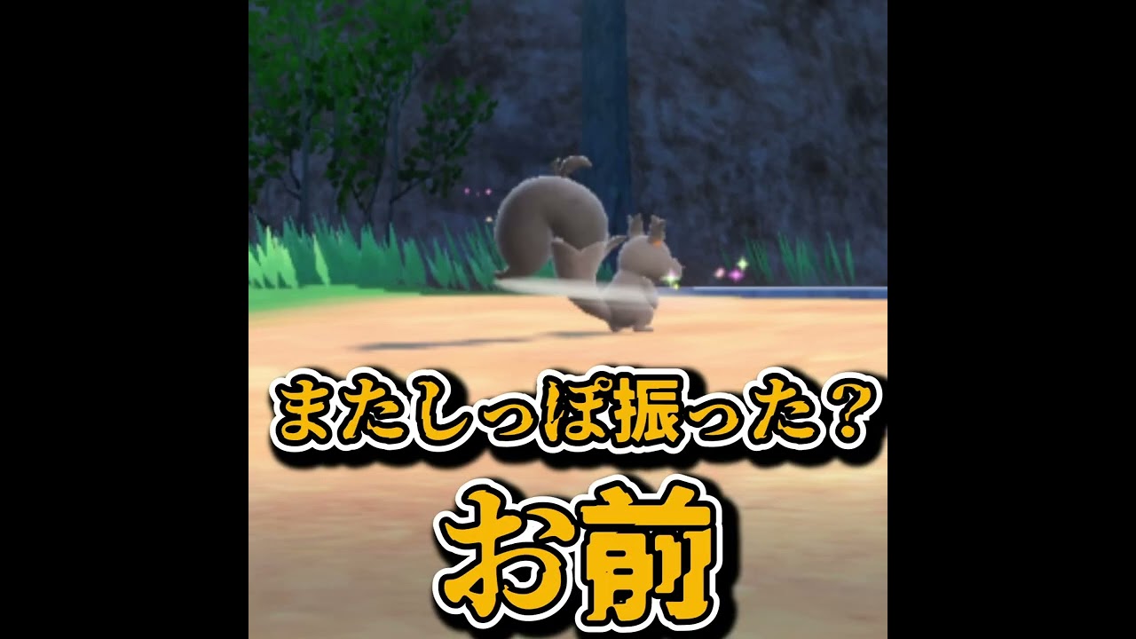 三下ムーブのホシガリスをセクシーポケモンでわからす[ポケモンSV]#shorts