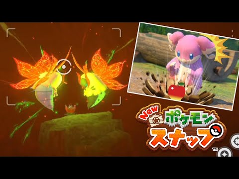 タブンネが可愛すぎて尊死【New ポケモンスナップ #8】