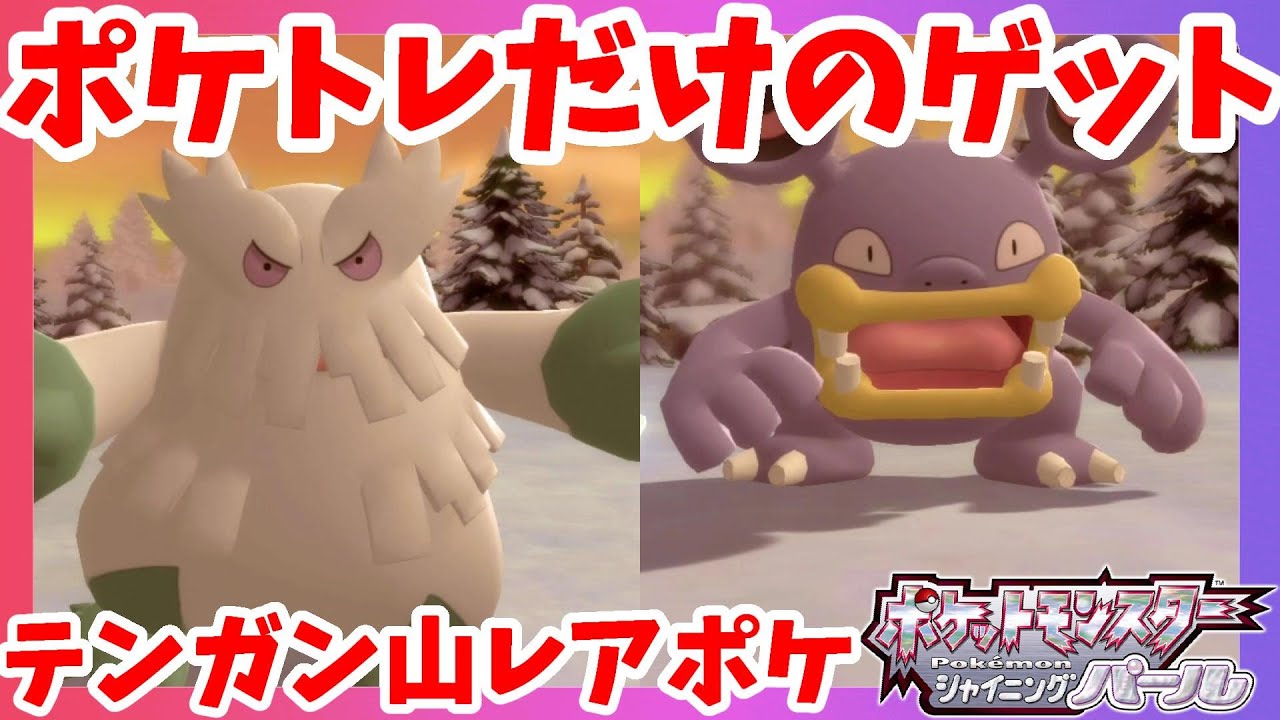 テンガン山のポケトレにしかいないレアポケモン！【ポケモンダイパリメイク】ブリリアントダイヤモンドシャイニングパール
