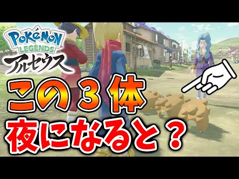【レジェンズ アルセウス】このビッパ3体は夜になるとある行動に・・・？【ポケモン/Pokémon LEGENDS/攻略/サブ依頼/アプデ/アップデート/ベースキャンプ/ビーダル】
