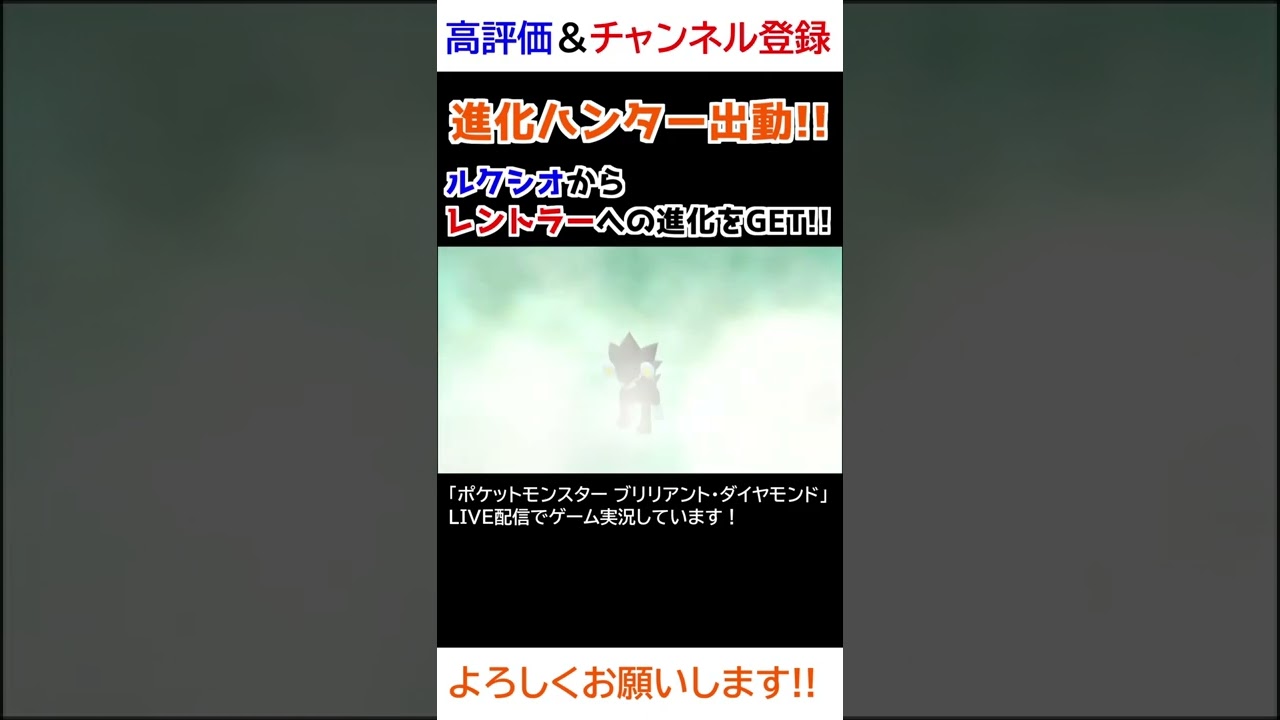 ルクシオ→レントラー進化【ダイパリメイク】【進化ハンター】