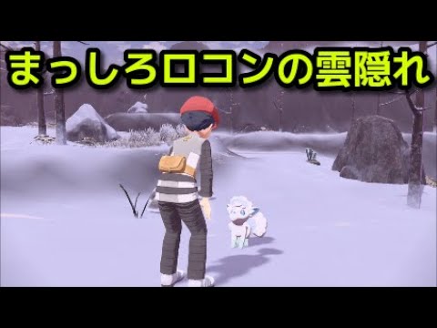 【ポケモン アルセウス】サブ任務83 まっしろロコンの雪隠れ 攻略 ロコン場所【Pokémon LEGENDS アルセウス】