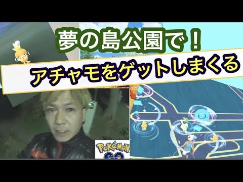 アチャモの巣で乱獲！（ポケモンGO）