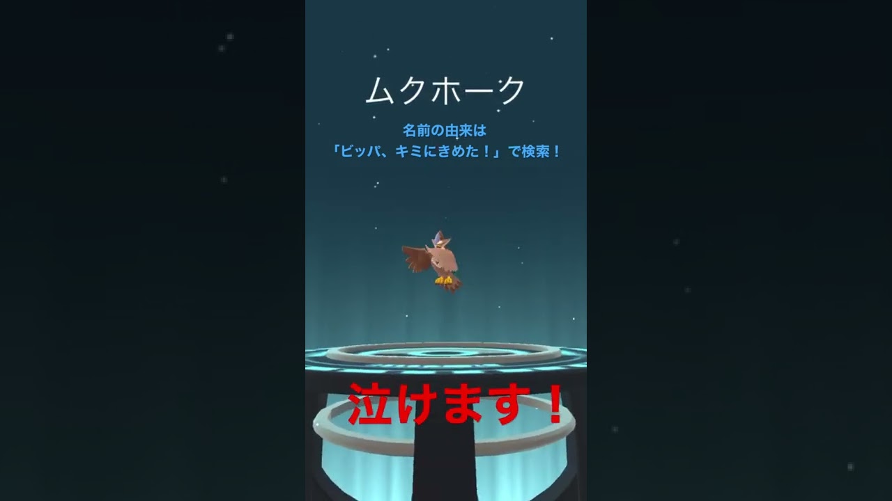 色違いムクホーク図鑑登録【ポケモンGO】