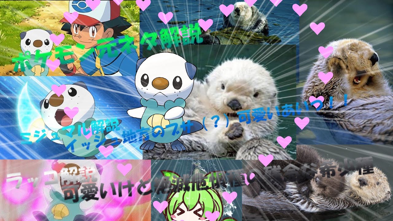 【VOICEVOX解説】ずんだもんのポケモン元ネタ解説　ミジュマル【ラッコ解説】