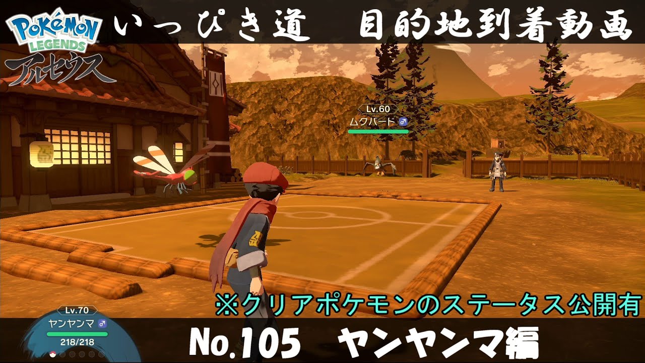 【いっぴき道攻略】No.105 ヤンヤンマ編【Pokémon LEGENDS アルセウス】