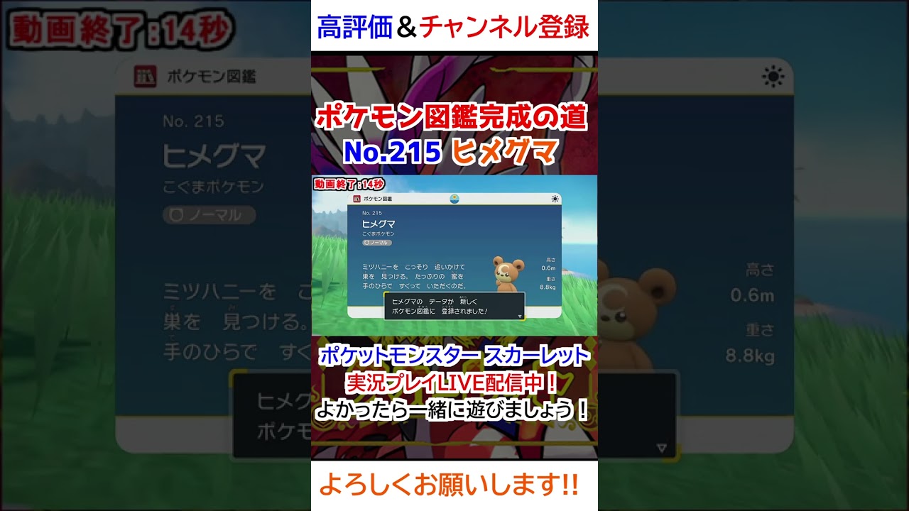 No 215 ヒメグマ図鑑登録完了！【ポケモンSV】