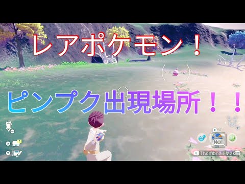 「ポケモンアルセウス」レアポケモン！ピンプク出現場所！！