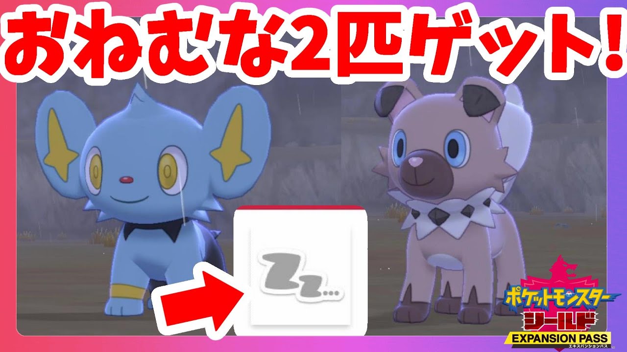 【ポケモンソードシールド】眠たいコリンクとイワンコ！激かわ証ポケモンゲット！鎧の孤島【エキスパンションパス第1弾】