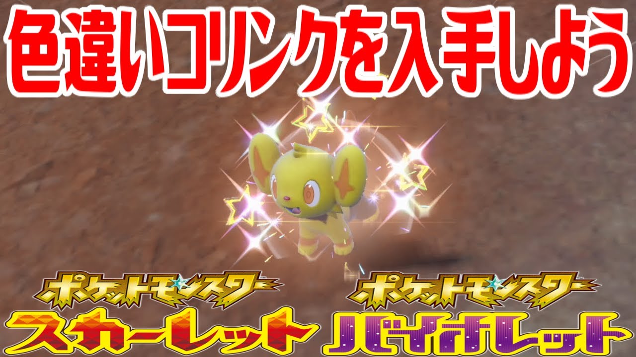 【ポケモンSV】色違いコリンクを入手しよう【ポケットモンスター スカーレット・バイオレット】Pocket Monsters