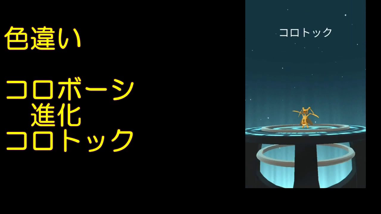 色違いコロボーシ進化コロトック【ポケモンGO】