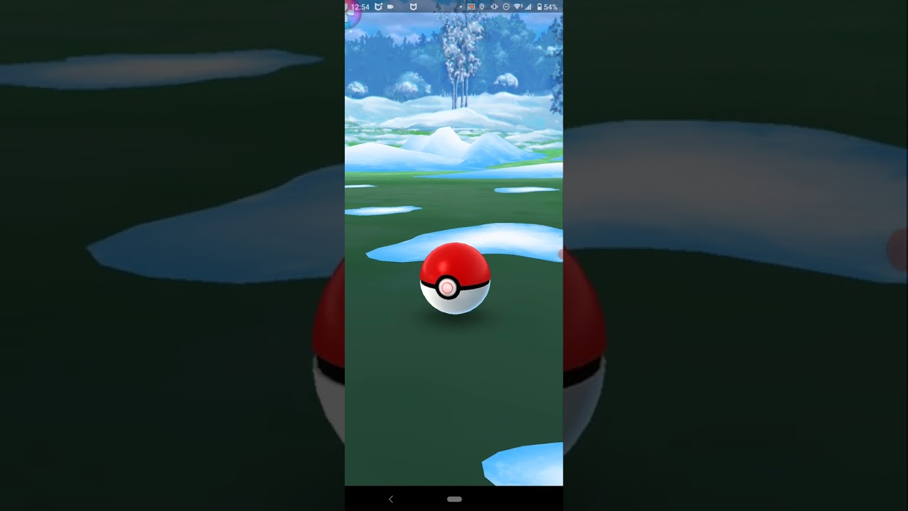 2022.12.26.のポケモンgoのヤヤコマ。