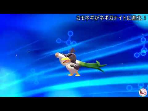 #6 【ポケモンソードシールド】１体目の長ネギもちカモネギがネギガナイトに進化するシーン