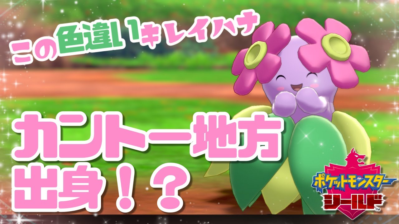 特殊！？カントー地方出身の色違いキレイハナをゲットする！【ポケモン剣盾】【ピカブイ】【色違い】