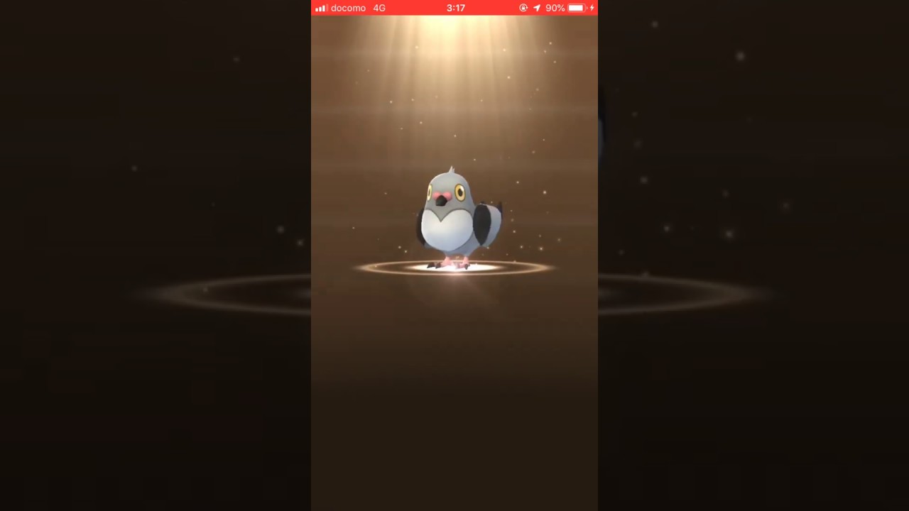 【ポケモンGO】2kmたまご マメパト イッシュ地方519