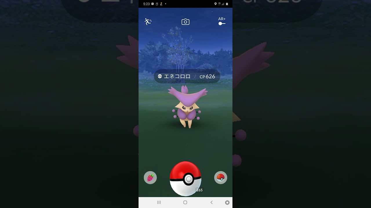 エネコロロがじゃれつくだけ