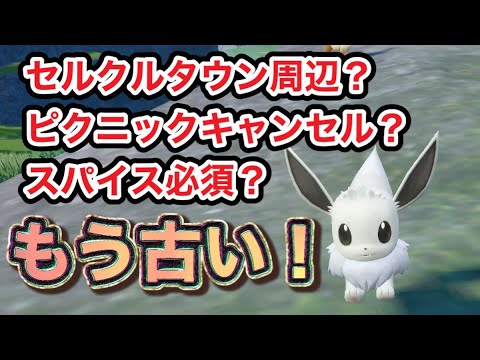 【ポケモンSV】色違いイーブイを大量捕獲する方法！かがやきパワーやピクニックキャンセル必要なし！