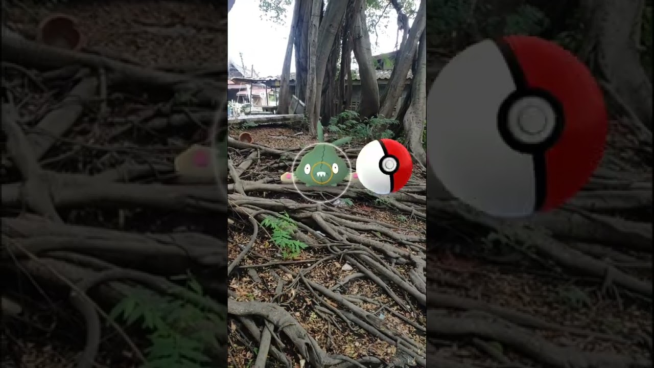 Trubbish 🗑️ ヤブクロン [Yabukuron]™ ~ Pokemon Go : โปเกม่อน