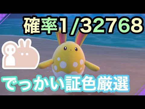 【色証厳選】最大サイズの色違いマリルリを厳選！【ポケットモンスタースカーレット・バイオレット/SV】