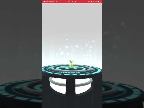 ポケモンGO チュリネ進化させるよ！ドレディア　Pokémon GO