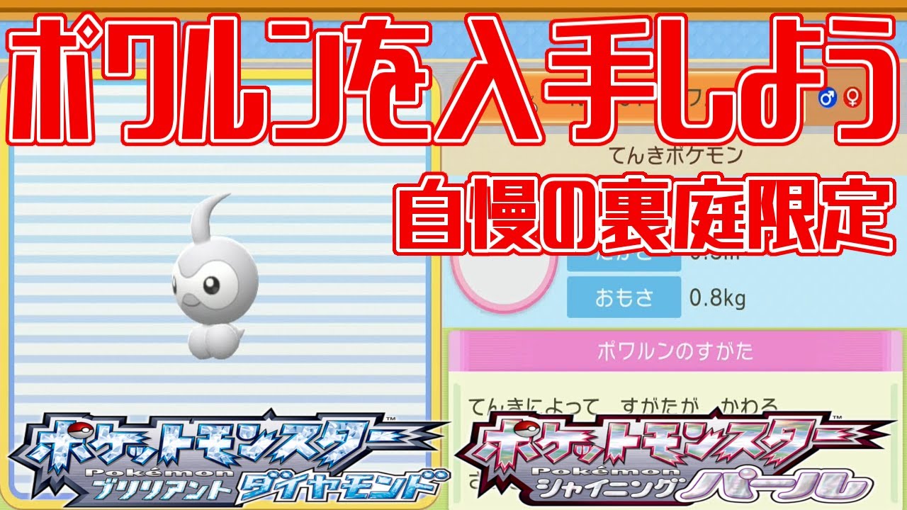 【ポケモンダイパリメイク】ポワルンを入手しよう 自慢の裏庭限定(じまんのうらにわ) 【ポケットモンスター ブリリアントダイヤモンド・シャイニングパール】Pocket Monsters