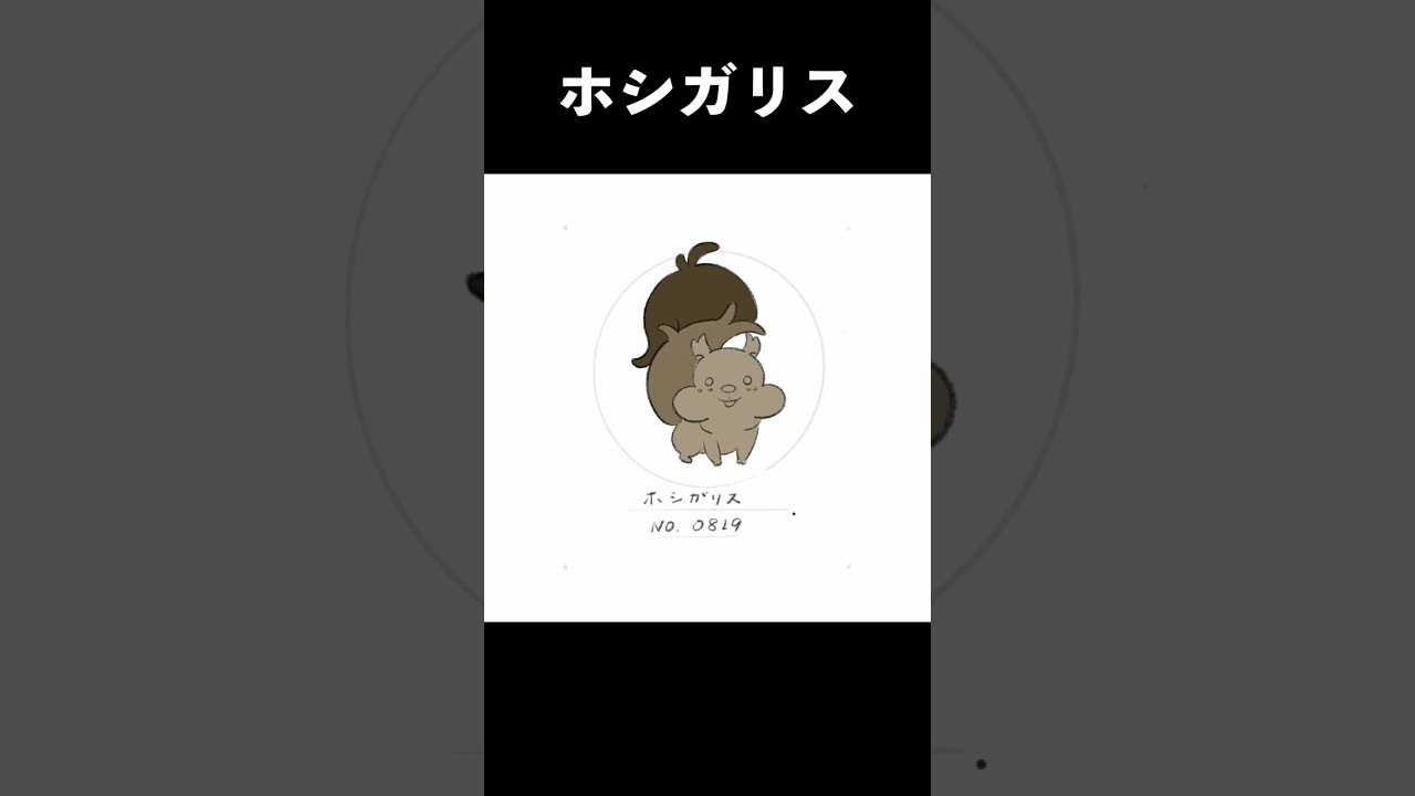 NO.0819　ホシガリス#shorts