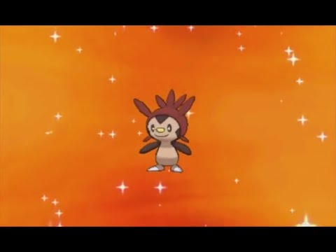 3DS【ポケモン XY】 shiny Chespin 色違い ハリマロン  色違 哈力栗