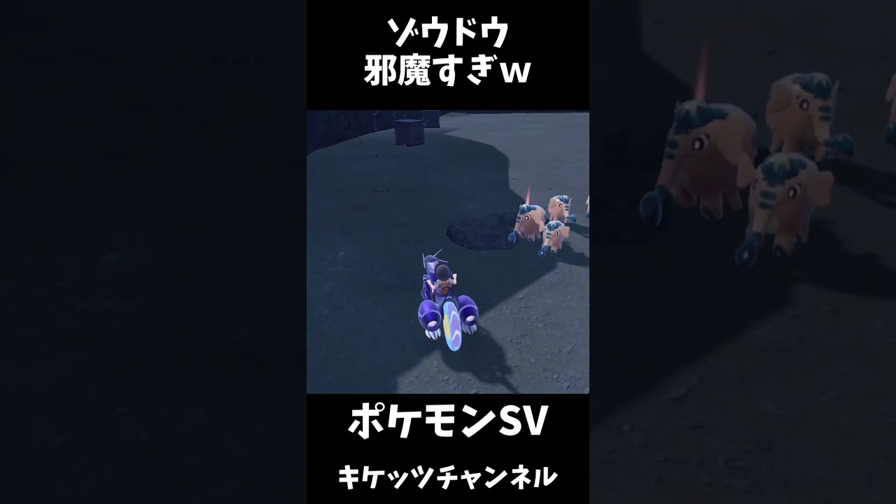 ゾウドウ邪魔すぎワロタｗｗｗ【ポケモンSV】　#shorts