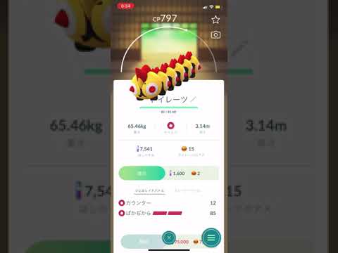【ポケモンGO】BGMと息ぴったりなタイレーツ