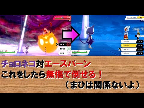チョロネコ、エースバーンを無傷で突破!?　キュワワーと進化前ポケでランクバトル [ポケモン剣盾対戦パート37］