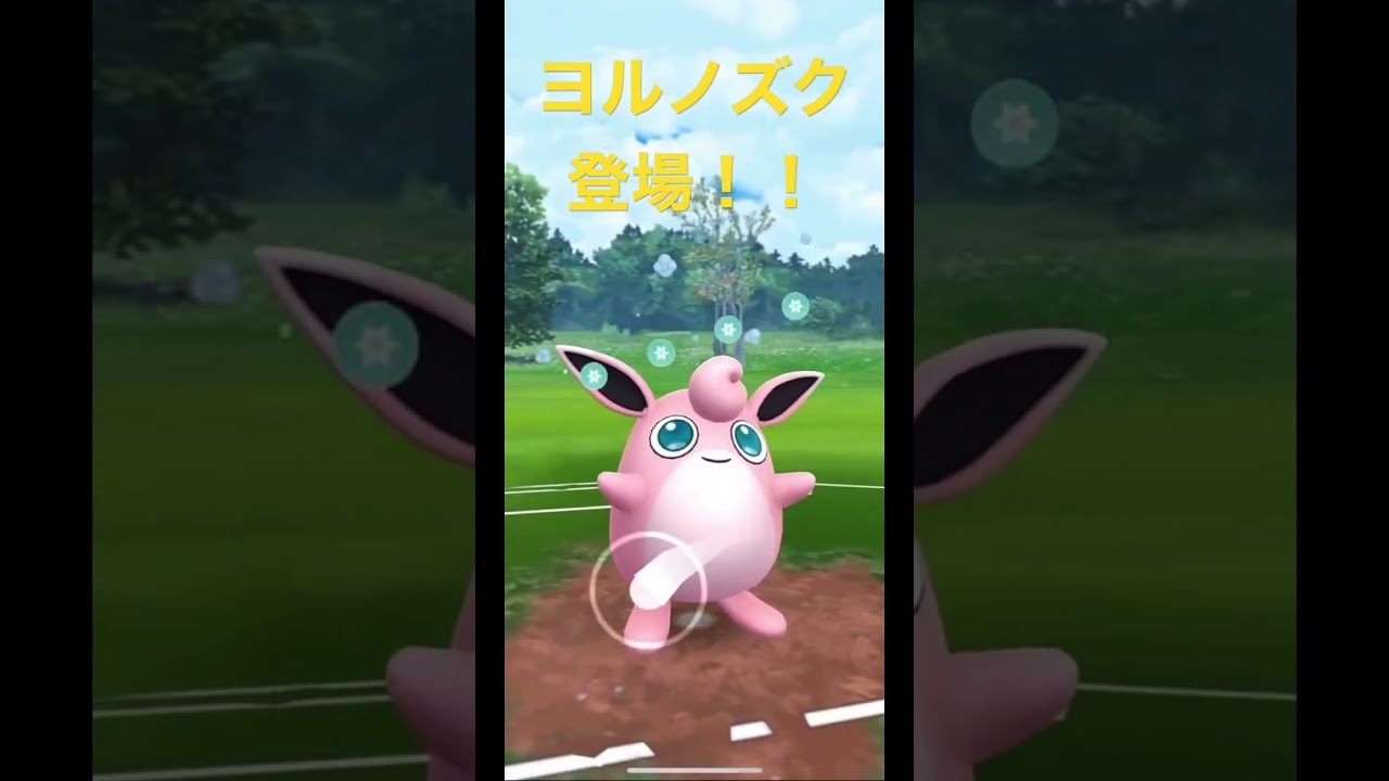 ヨルノズク登場！！【Noctowl】