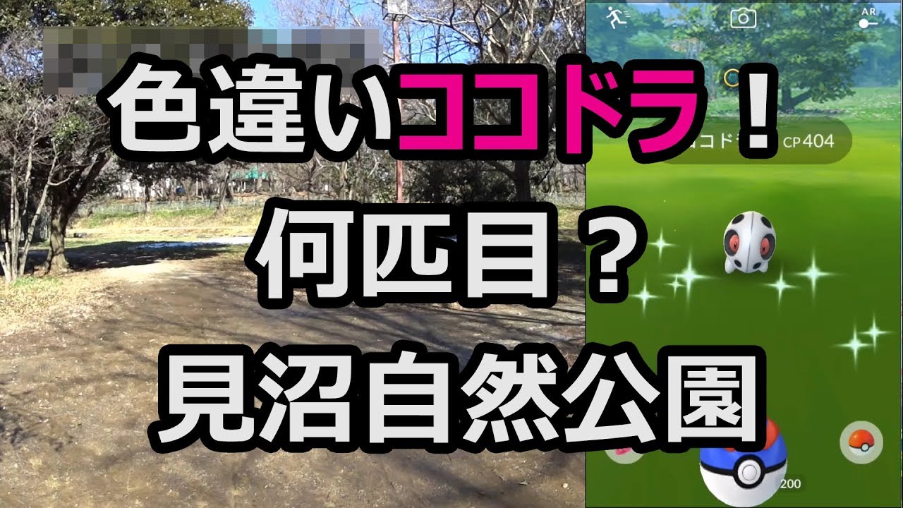 【ポケモンGO】滑り込みでココドラの巣へ！色違いゲット！ in 見沼自然公園